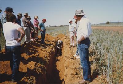 WISALTS Field Day at Morawa, Western Australia, Australia - 003