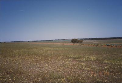 WISALTS Field Day at Morawa, Western Australia, Australia - 004