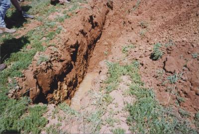 WISALTS Field Day at Morawa, Western Australia, Australia - 007