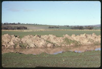 Property of WA (Alec) and J Martin, 'Illalangi', Moorngag, Victoria, Australia - 012