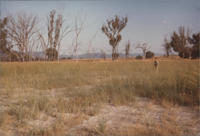 Property of WA (Alec) and J Martin, 'Illalangi', Moorngag, Victoria, Australia - 005