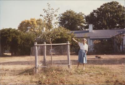 Property of WA (Alec) and J Martin, 'Illalangi', Moorngag, Victoria, Australia - 006