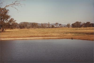 Property of WA (Alec) and J Martin, 'Illalangi', Moorngag, Victoria, Australia - 007