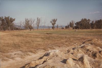 Property of WA (Alec) and J Martin, 'Illalangi', Moorngag, Victoria, Australia - 009