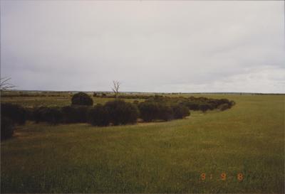 Property of R (Rod) and E (Elizabeth) Nicholson, Moorine Rock, Western Australia, Australia - 001