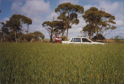 Property of R (Rod) and E (Elizabeth) Nicholson, Moorine Rock, Western Australia, Australia - 011