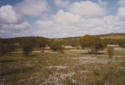Property of R (Rod) and E (Elizabeth) Nicholson, Moorine Rock, Western Australia, Australia - 013