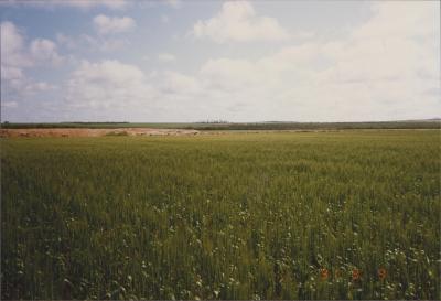 Property of R (Rod) and E (Elizabeth) Nicholson, Moorine Rock, Western Australia, Australia - 015