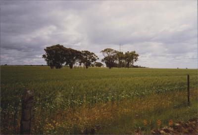 Property of R (Rod) and E (Elizabeth) Nicholson, Moorine Rock, Western Australia, Australia - 006