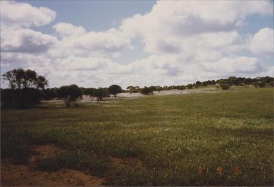 Property of R (Rod) and E (Elizabeth) Nicholson, Moorine Rock, Western Australia, Australia - 007