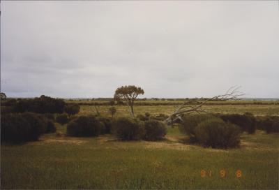 Property of R (Rod) and E (Elizabeth) Nicholson, Moorine Rock, Western Australia, Australia - 008