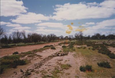 Perenjori, Western Australia, Australia - 001