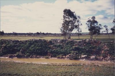 Perenjori, Western Australia, Australia - 002