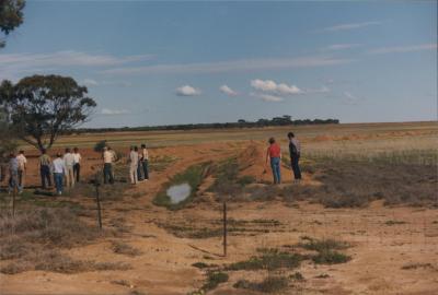 WISALTS Consultants Meeting at Perenjori, Western Australia, Australia - 006