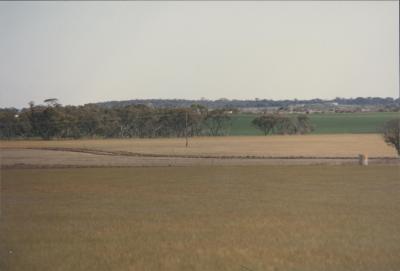 Quairading Soil Conservation District Trial Site, Quairading, Western Australia, Australia - 001