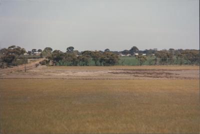 Quairading Soil Conservation District Trial Site, Quairading, Western Australia, Australia - 004