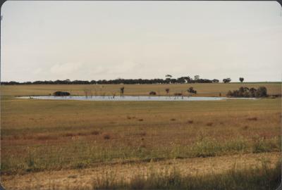 South Caroling, Western Australia, Australia