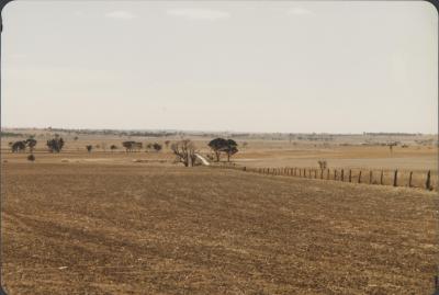 Property of Stacey and Clemens, Quairading, Western Australia, Australia - 004