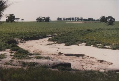 Property of FJD (Dan) Keast and Bloom, Quairading, Western Australia, Australia