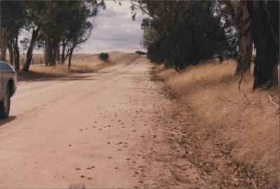 Weir Road, Quairading, Western Australia, Australia