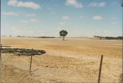 Hayes Road, Quairading, Western Australia, Australia - 003