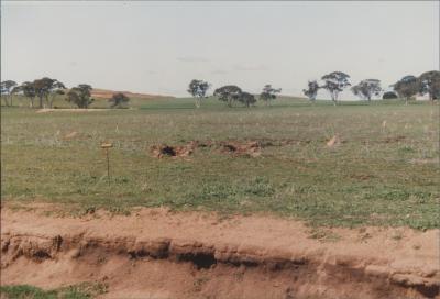 Property of Parker, Dangin, Western Australia, Australia