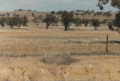 'Old Fisher Farm', County Peak, Western Australia, Australia - 011