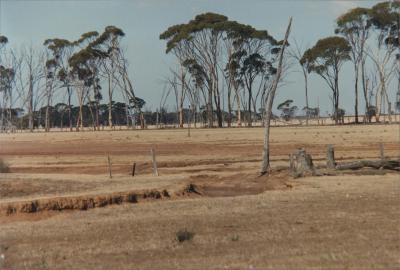 'Old Fisher Farm', County Peak, Western Australia, Australia - 003