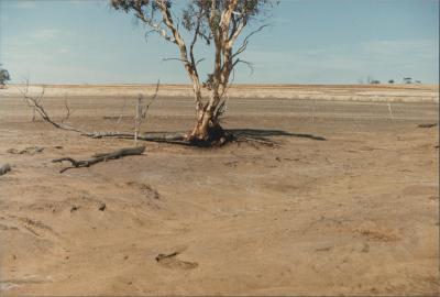 'Old Fisher Farm', County Peak, Western Australia, Australia - 005