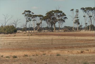 'Old Fisher Farm', County Peak, Western Australia, Australia - 006