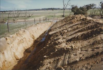 Property of BT Robinson, Aldersyde, Western Australia, Australia - 004