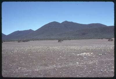 Property of J Smith, Cranbrook, Western Australia, Australia