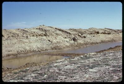 Property of HS (Harry) Whittington, 'Springhill', Brookton, Western Australia, Australia - 010