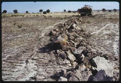 Property of HS (Harry) Whittington, 'Springhill', Brookton, Western Australia, Australia - 023