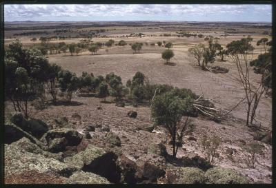 Property of HS (Harry) Whittington, 'Springhill', Brookton, Western Australia, Australia - 026