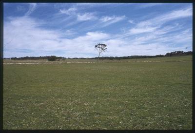 Property of HS (Harry) Whittington, 'Springhill', Brookton, Western Australia, Australia - 027