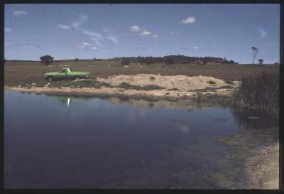 Property of HS (Harry) Whittington, 'Springhill', Brookton, Western Australia, Australia - 029