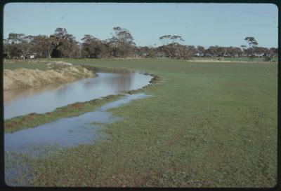 Property of HS (Harry) Whittington, 'Springhill', Brookton, Western Australia, Australia - 002
