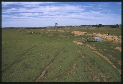 Property of HS (Harry) Whittington, 'Springhill', Brookton, Western Australia, Australia - 031