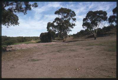 Property of HS (Harry) Whittington, 'Springhill', Brookton, Western Australia, Australia - 032