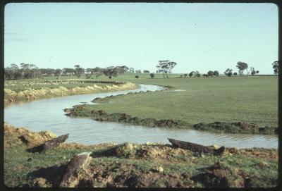 Property of HS (Harry) Whittington, 'Springhill', Brookton, Western Australia, Australia - 041