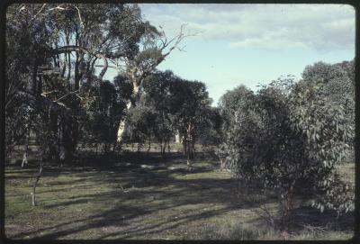 Western Australia, Australia - 230