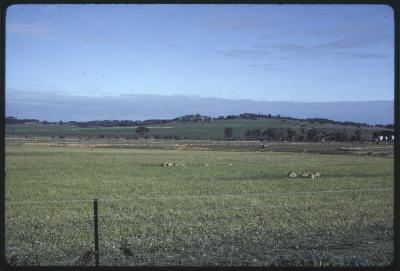 Property of HS (Harry) Whittington, 'Springhill', Brookton, Western Australia, Australia - 043