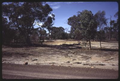 Springhill Reserve, Boyagarra Road, Brookton, Western Australia, Australia - 003