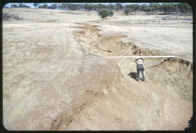 Property of HS (Harry) Whittington, 'Springhill', Brookton, Western Australia, Australia - 044