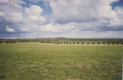 Property of BJ (Crash) and BE (Beryl) Edwards, 'Brooklands Park', Kweda, Western Australia, Australia - 039