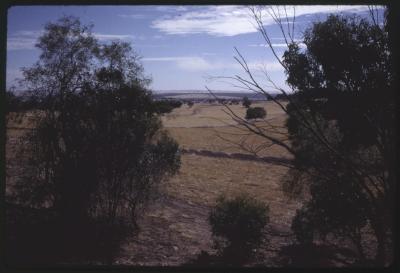 Property of HS (Harry) Whittington, 'Springhill', Brookton, Western Australia, Australia - 005