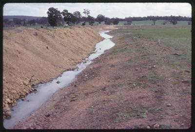 Property of HS (Harry) Whittington, 'Springhill', Brookton, Western Australia, Australia - 046