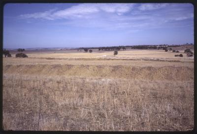 Property of HS (Harry) Whittington, 'Springhill', Brookton, Western Australia, Australia - 006