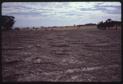 Property of HS (Harry) Whittington, 'Springhill', Brookton, Western Australia, Australia - 007